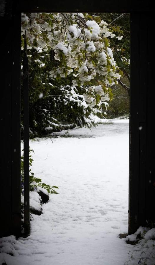 Arden Country House Bnb - Entire House To Yourself -Peace In The Country Dunedin Exterior photo